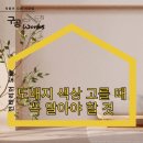 제주도 도배 도배지 색상 고를 때 꼭 알아야 할 것