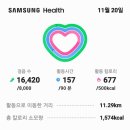 마늘과양파에부직포를덮어동해방지 오늘:12.08km를:걸어16,420보:3.692. 75 km5,054,243 이미지