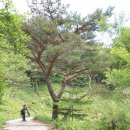 경기둘레길 연천12코스 이미지