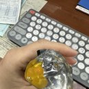 십이월십오일 이미지
