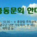 광치 자연휴양림 이미지