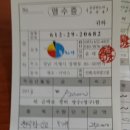총알반점 이미지