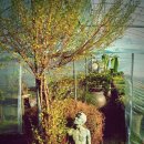 삽재농장 이미지