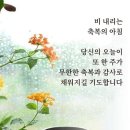 김병만의정글의법칙 ㅡ 돌발상황에ㅡ 찰영중단.ㅡ 주요장면ㅡ 이미지