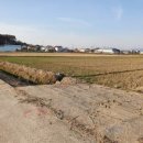 동읍1270 이미지