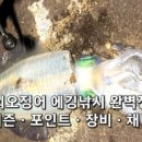 통영바다마트낚시