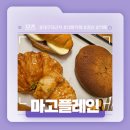 [외부]서각 | 대구 경산 대구대 근처 대형 카페 추천! - 마고플레인 대구대삼거리점 솔직후기!