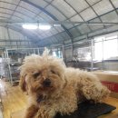 북신지구대 이미지