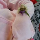 호영농장 이미지