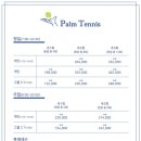 팜테니스