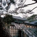 중매목장 이미지