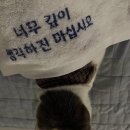 짧은 생각 깊은 생각