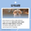 진안동물병원 이미지