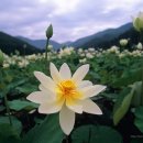 다산1리 이미지