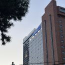 부산 토요코인호텔 해운대2 오션뷰 가성비 좋은 호텔 (+무료 조식) 2박3일 후기