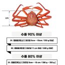 뚱보수산 이미지