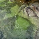 사선대황토펜션 이미지