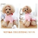 프린세스애견 이미지