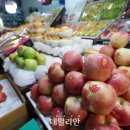 배**-7 이미지
