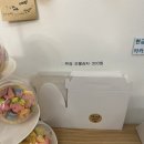 카페카롱24