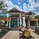 테라스의 아침 이미지