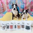 와와네 수제간식 이미지