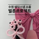 벌룬프로젝트수원 이미지