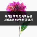 하나헤어샵 | 헤어샵 후기, 만족도 높은 서비스와 추천받은 곳 소개