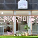반려동물미용실 언니네 이미지