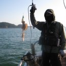 블루마린호 - 화성시 궁평항로 1232 | 블루마린호