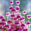 멋진인생