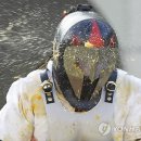 오렌지별장 이미지