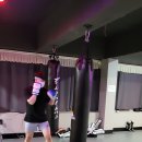 머스트윈 복싱 부평점 이미지