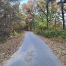 군자봉주유소 이미지