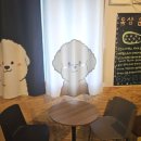 평생 사랑할 개 이미지