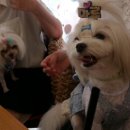 까꿍이 하우스 이미지