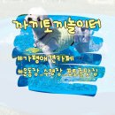 가평 애견 카페 넓은 운동장과 수영장까지 있는, 까끼토끼놀이터 후기
