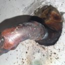 동부산업 주식회사 이미지