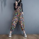 H1523 이미지