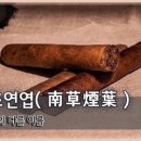 교훈글-남초연엽(南草煙葉) 이미지