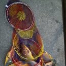 대명낚시터 이미지