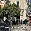 오렌지트리(Orange tree) | [스페인 자유여행] 세비야 2박 3일 일정｜플라멩코·대성당·맛집&근교 투어 총정리