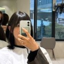 카이정헤어 연세신촌점 | 당신이 단발 레이어드를 해야 하는 이유 [카이정헤어 연세신촌점 유아 신입 디자이너]