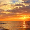 일성목장 이미지