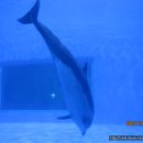 장생포고래박물관 이미지