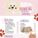 하이뭉하 이미지