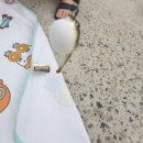 그린드시펜션 이미지