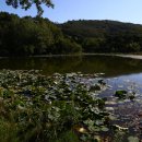 틀모산 도시숲 이미지