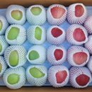 골드농장 이미지