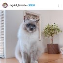 작고 소중해 이미지
